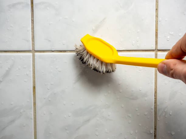 Best Mold Removal Company Near Me  in Daisetta, TX