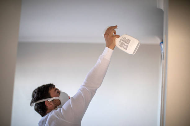Best Mold Removal Specialists  in Daisetta, TX